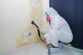 Glasgow, VA Mold Removal & Remediation Company